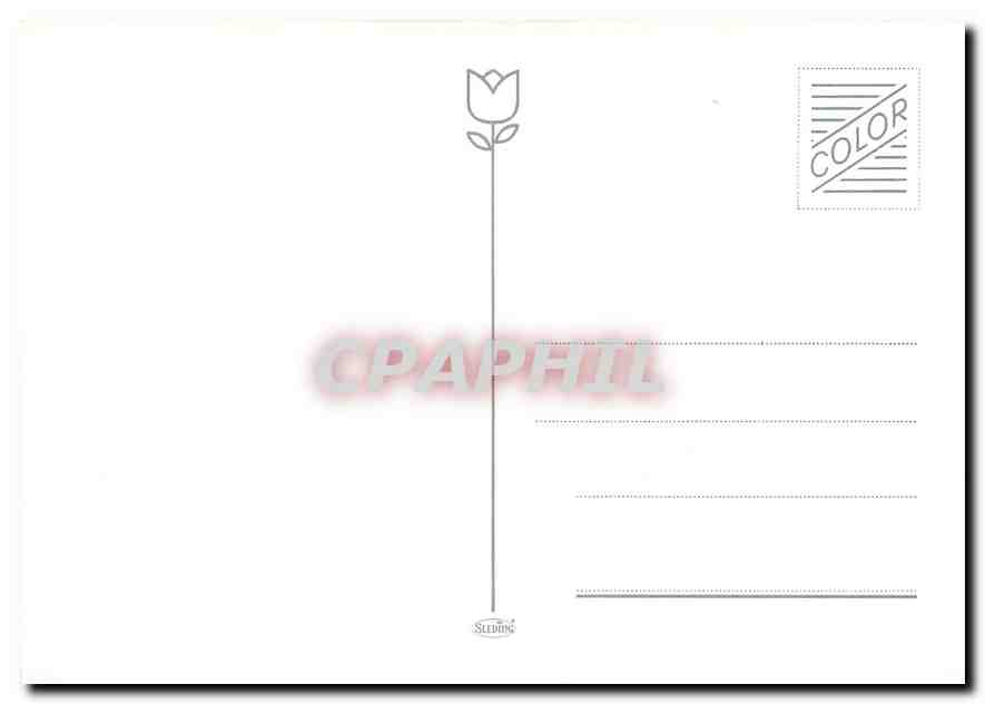 CPM Gargrave  — Verso