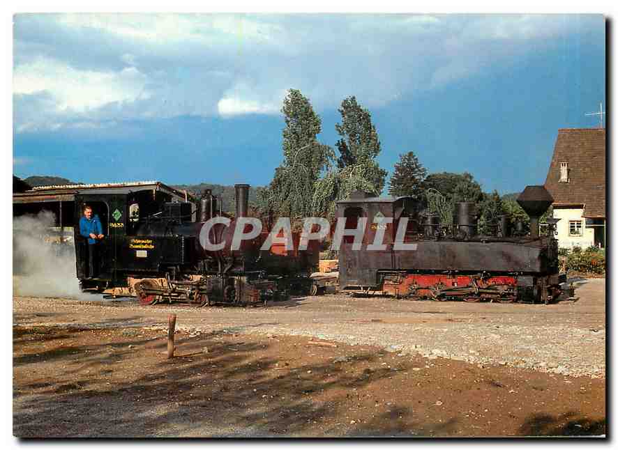 CPM Schinznacher Baumschulbahn Hermann Zulauf Damplokomotiven Pinus und Taxus 