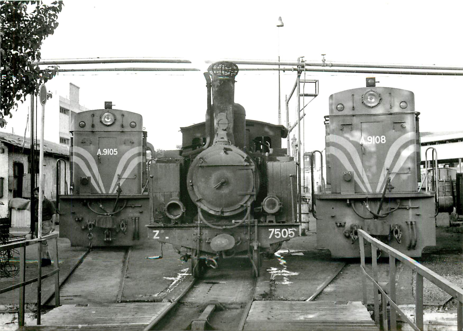 CPM Au depot du Piree 