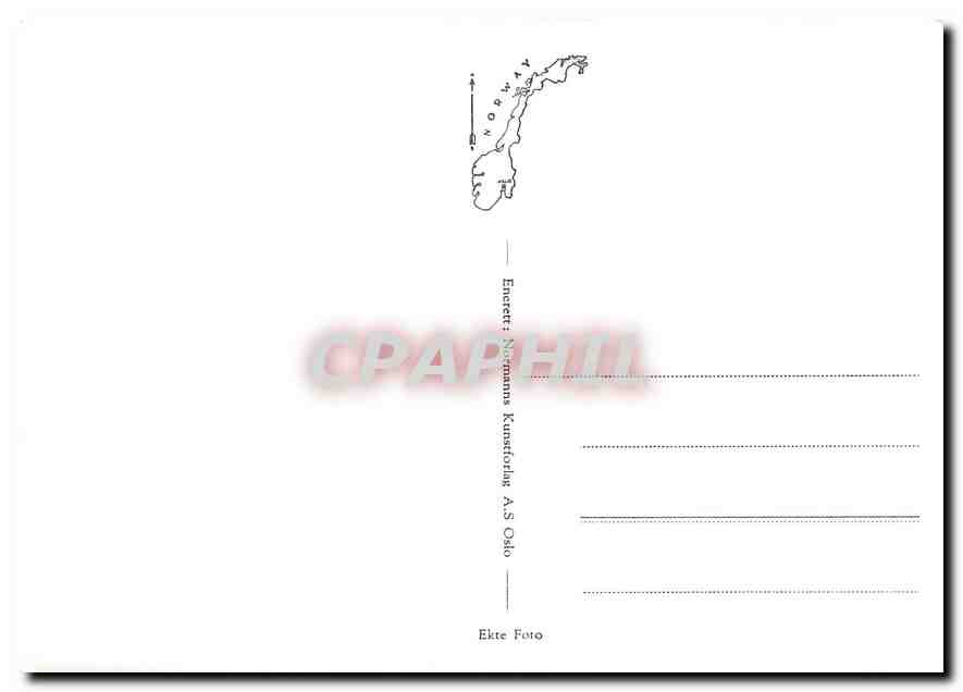 CPM Train — Verso