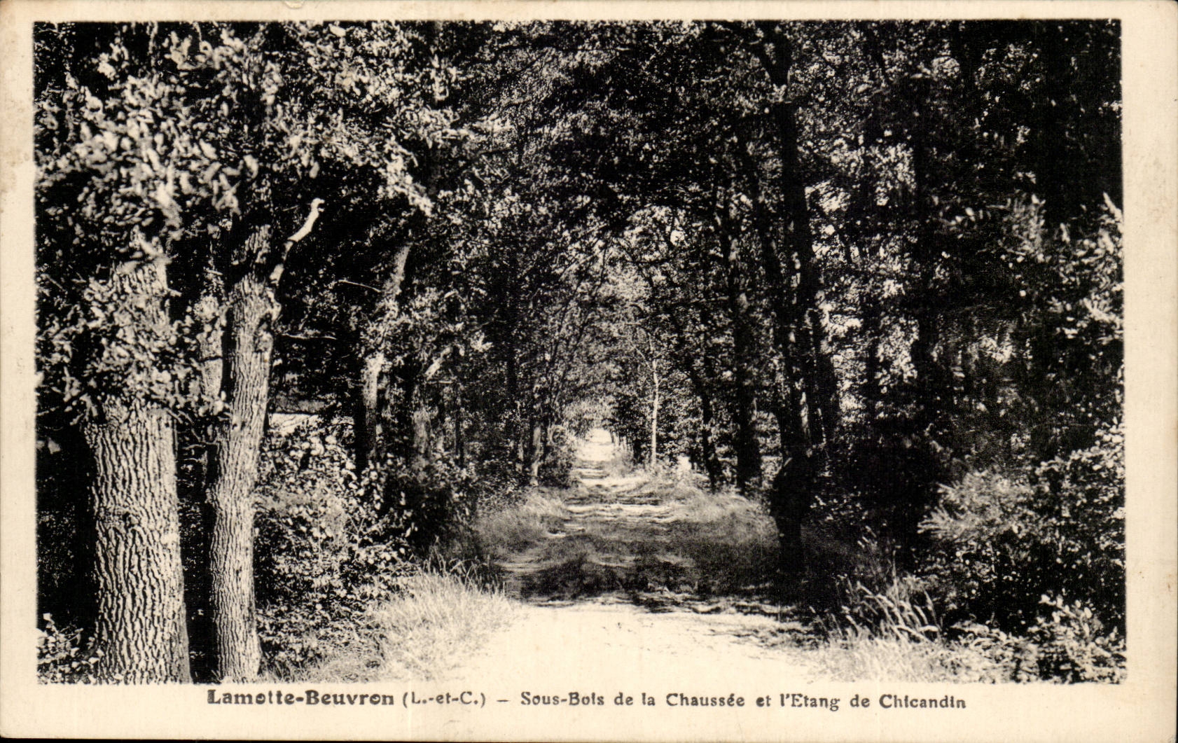 Lamette-Beuvron (L.-et-C.) — Sous-Bols de la Chaussée et l'Etang de Chicandin