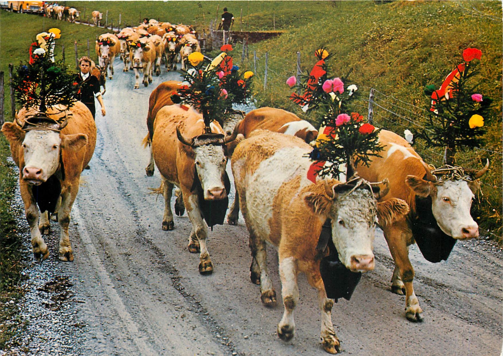 CPM Alpabfahrt 