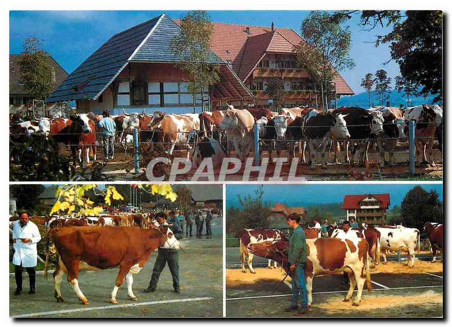 CPM Viehschau vor der Emmentaler Schaukaserei 