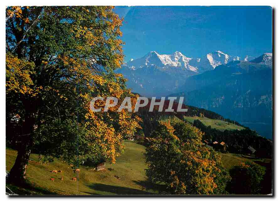 CPM Beatenberg Eiger Monch Jungfrau 
