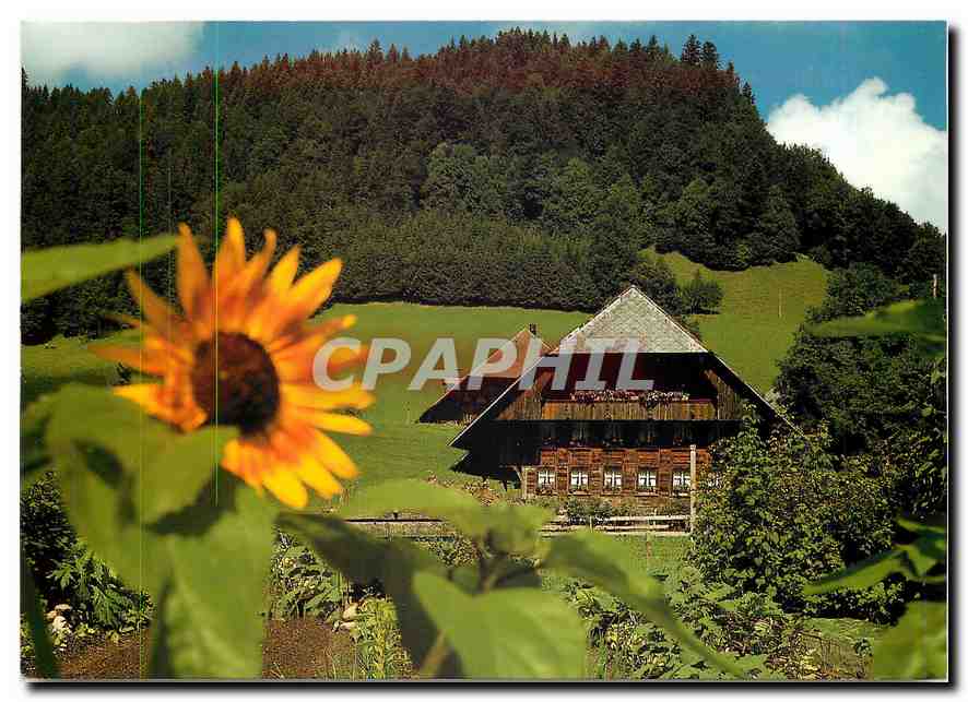 CPM Einfach heimelig 