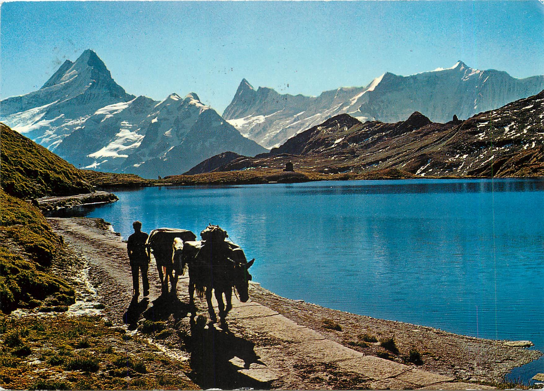 CPM Am Bachalpsee Maultierpost auf des Faulhorn 