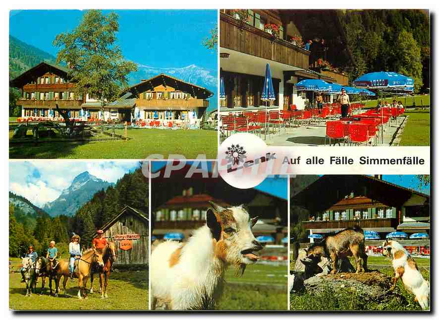 CPM Lenk Berner Oberland Hotel Restaurant Simmenfalle Chevre