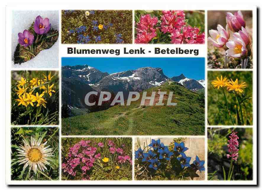 CPM Blumenweg Lenk Betelberg 