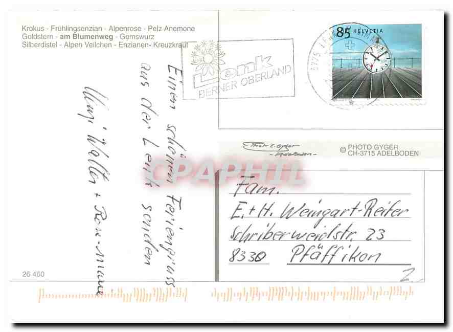CPM Blumenweg Lenk Betelberg  — Rückseite
