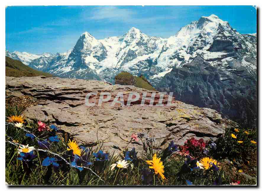 CPM Eier Monch Jungfrau 