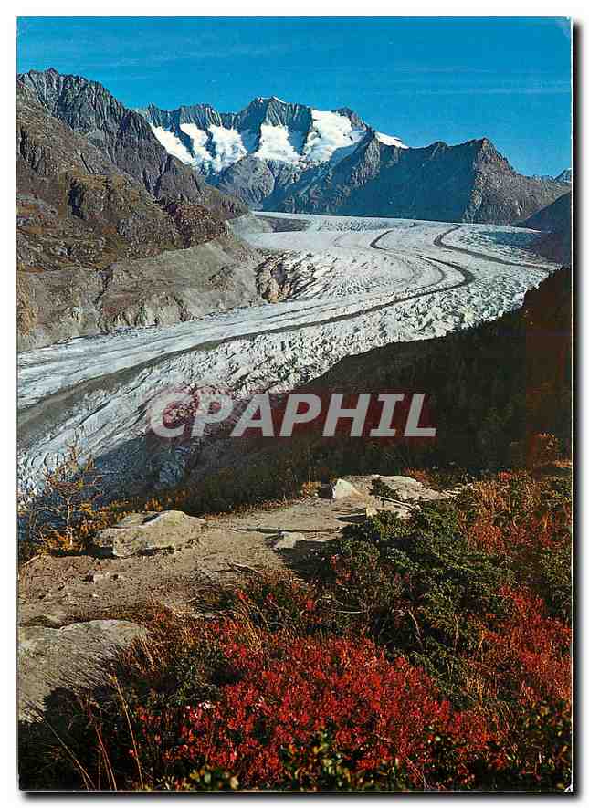 CPM Naturschutzgebiet Aletschwald am Grossen Aletschgletscher Wannenhorn 