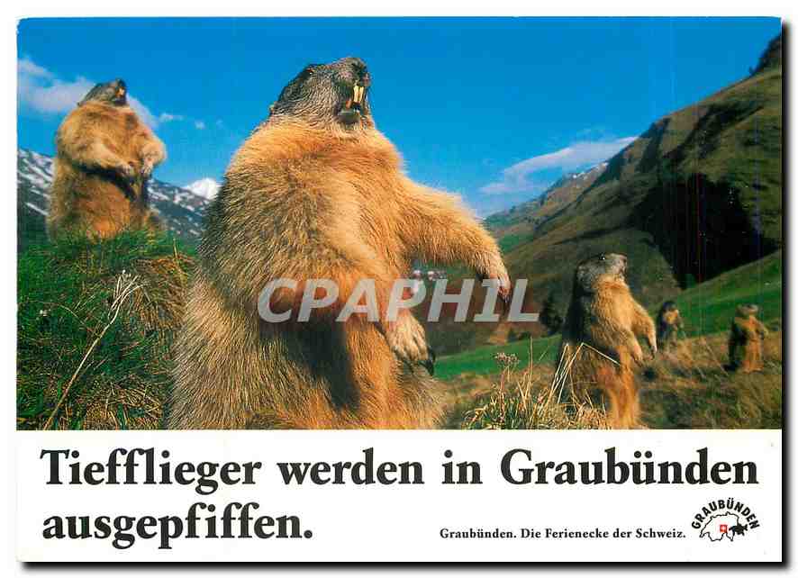 CPM Tiefflieger werden in Graubunden ausgepfiffen 