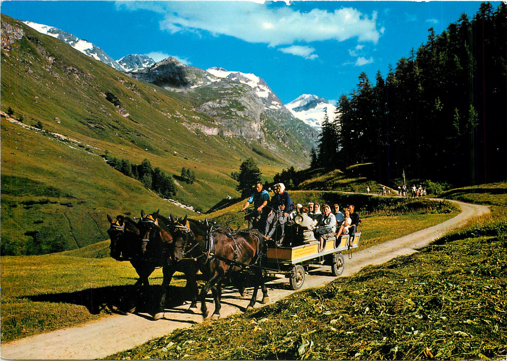 CPM Pferde Ausflugs Omnibus Sils Fextal 