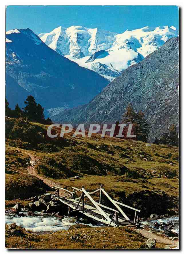 CPM Blick von Alp Languard mit Piz Palu und Bellavista 