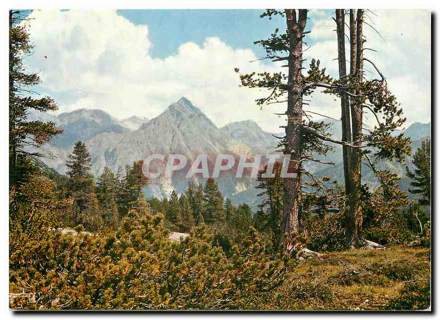 CPM Parc national Dans le giboyeux Val Minger 