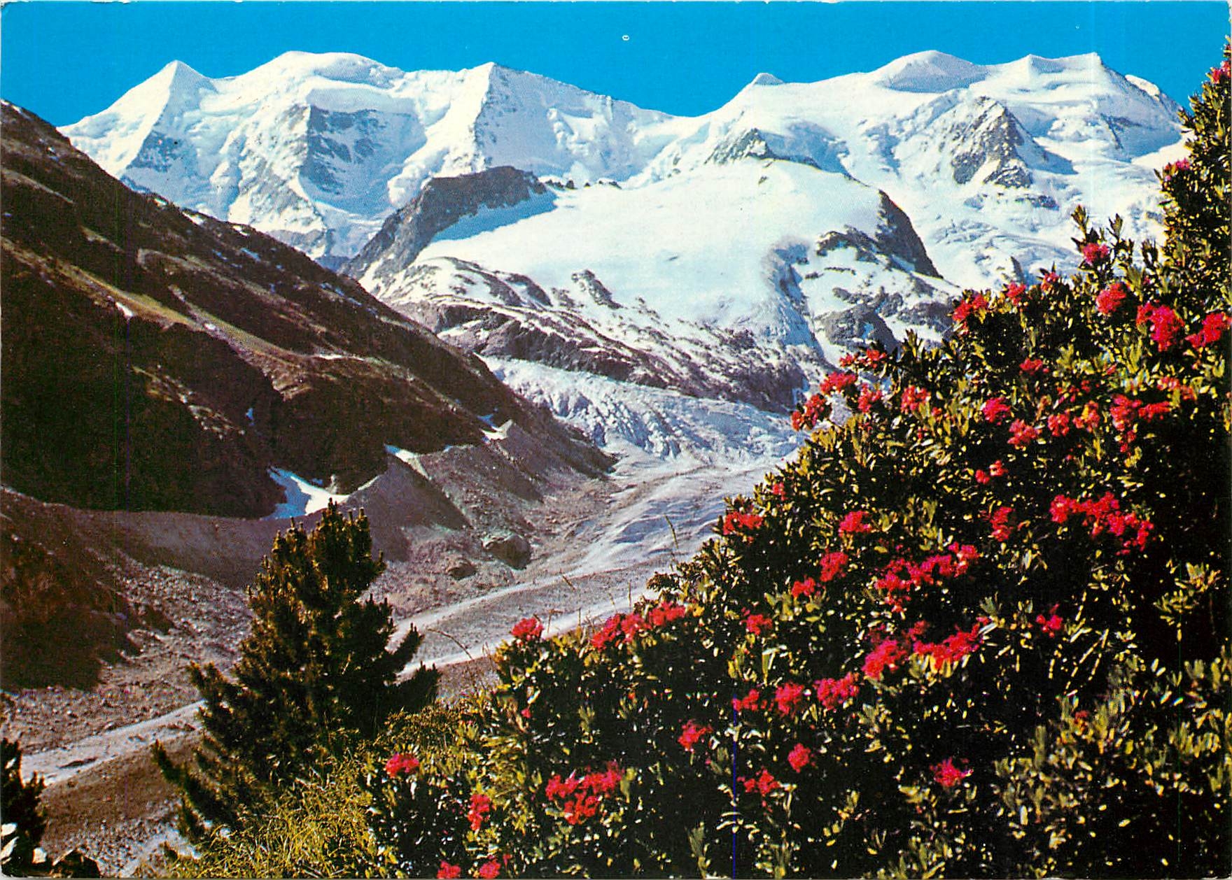 CPM Piz Palu und Bellavista Berninagebiet 