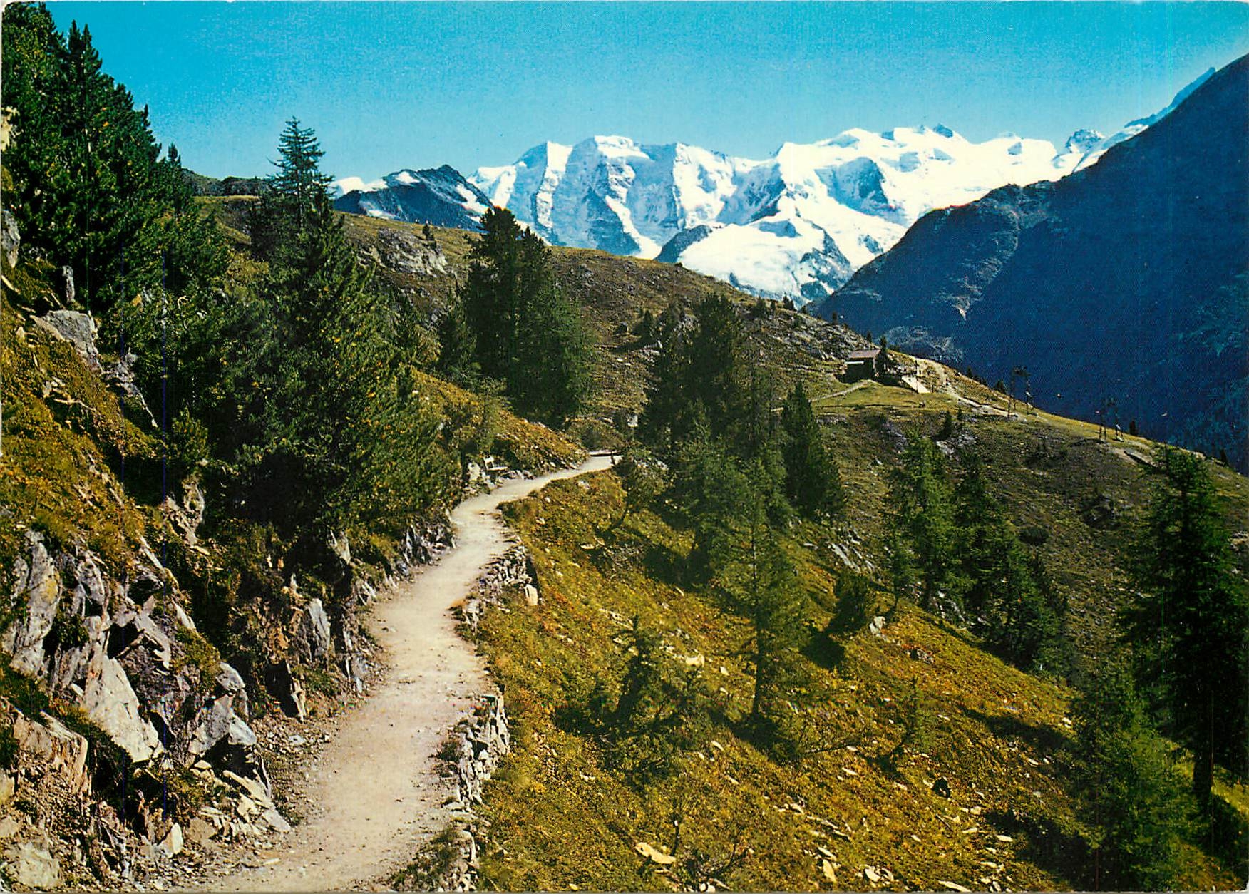CPM Hohenweg mit Piz Palu und Bellavista 