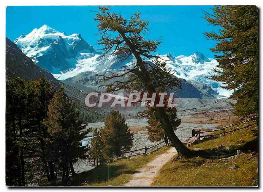 CPM Im Rosegtal Piz Roseg und Sellagruppe 