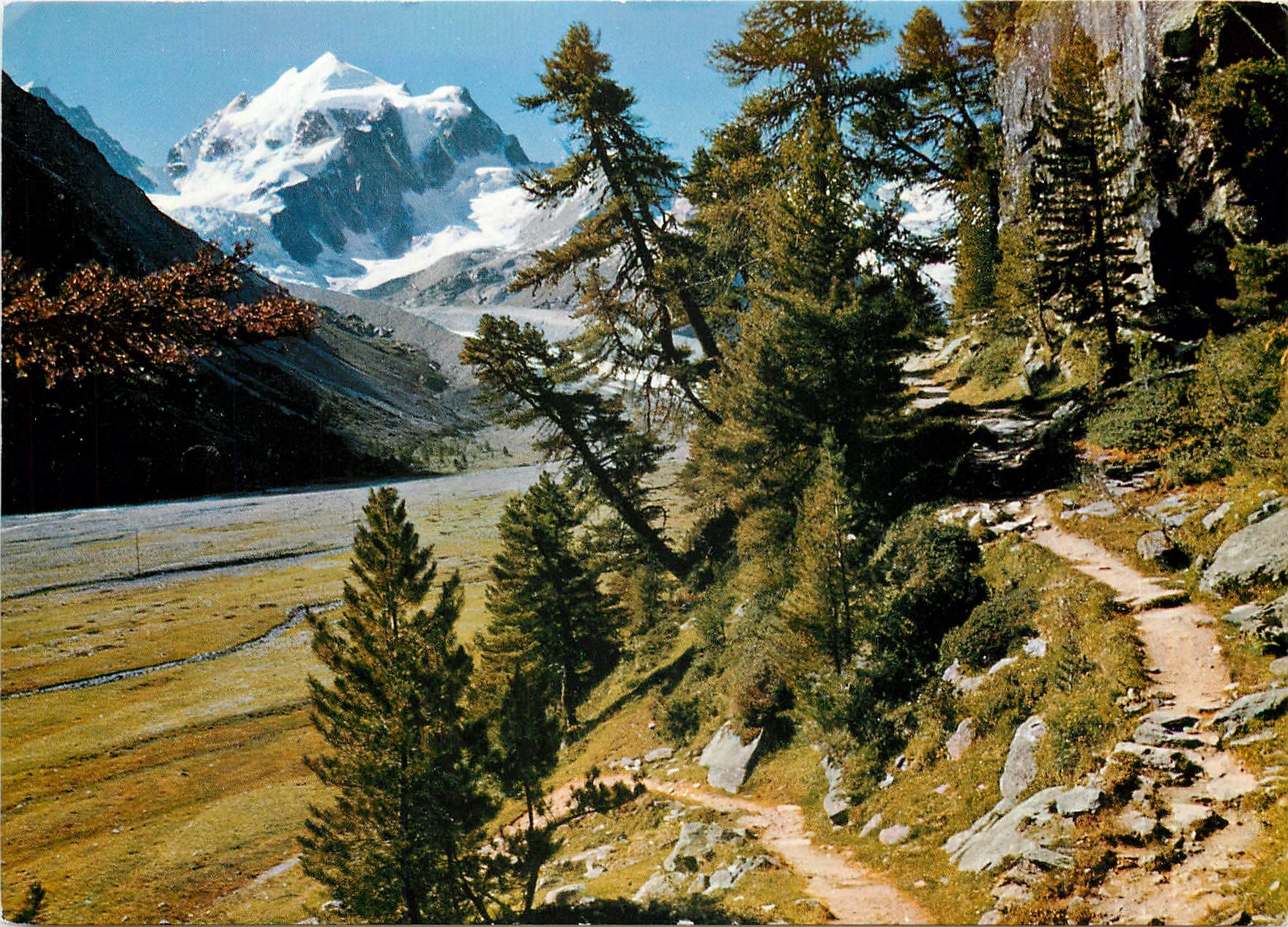 CPM Arvenwald im Rosegtal mit Piz Roseg 