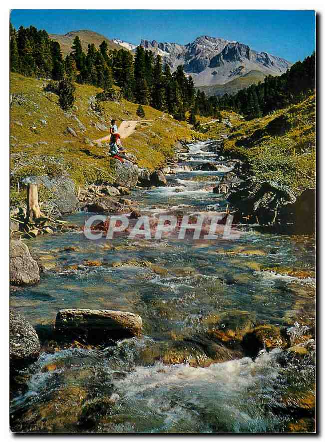 CPM Scarital mit Clemgiabach und Starlexgruppe 