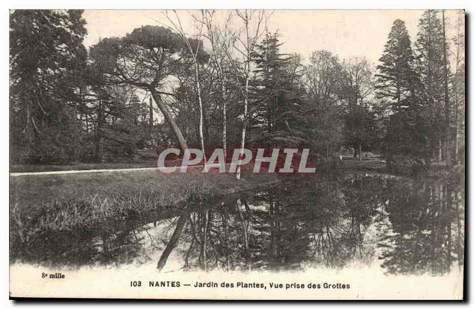 Nantes CPA Jardin des plantes vue prise des grottes