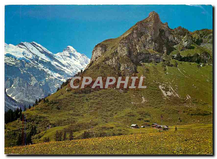 CPM Pension Spielbodenalp Gspaltenhorn Brunli 