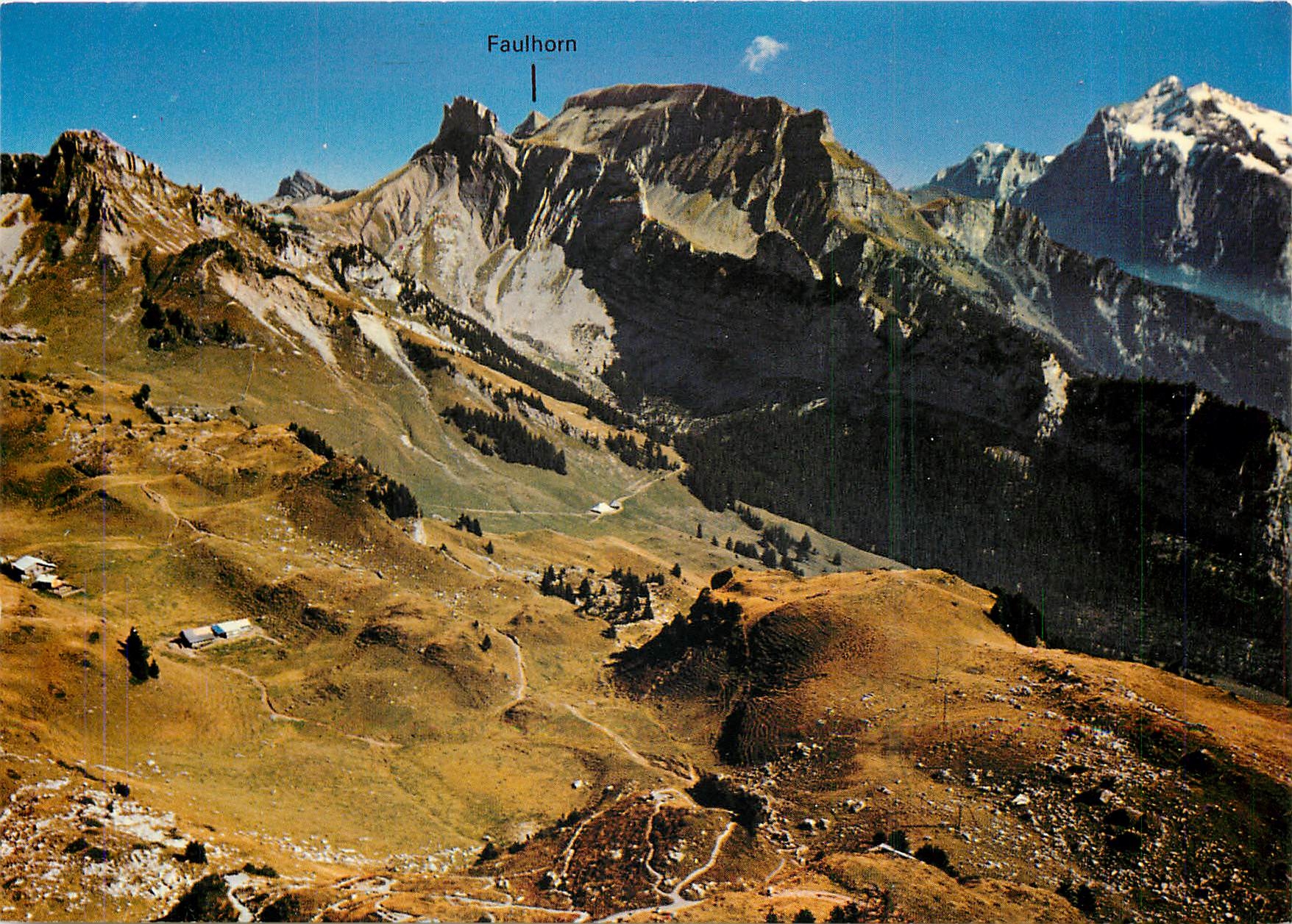 CPM Schynige Platte Blick auf Faulhorn 