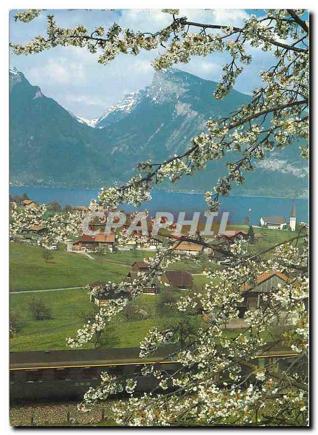 CPM Spiez am Thunersee Zum gunstigen Tageskartenpreis eine eindruckliche Rundfahrt Bern Lotschberg B