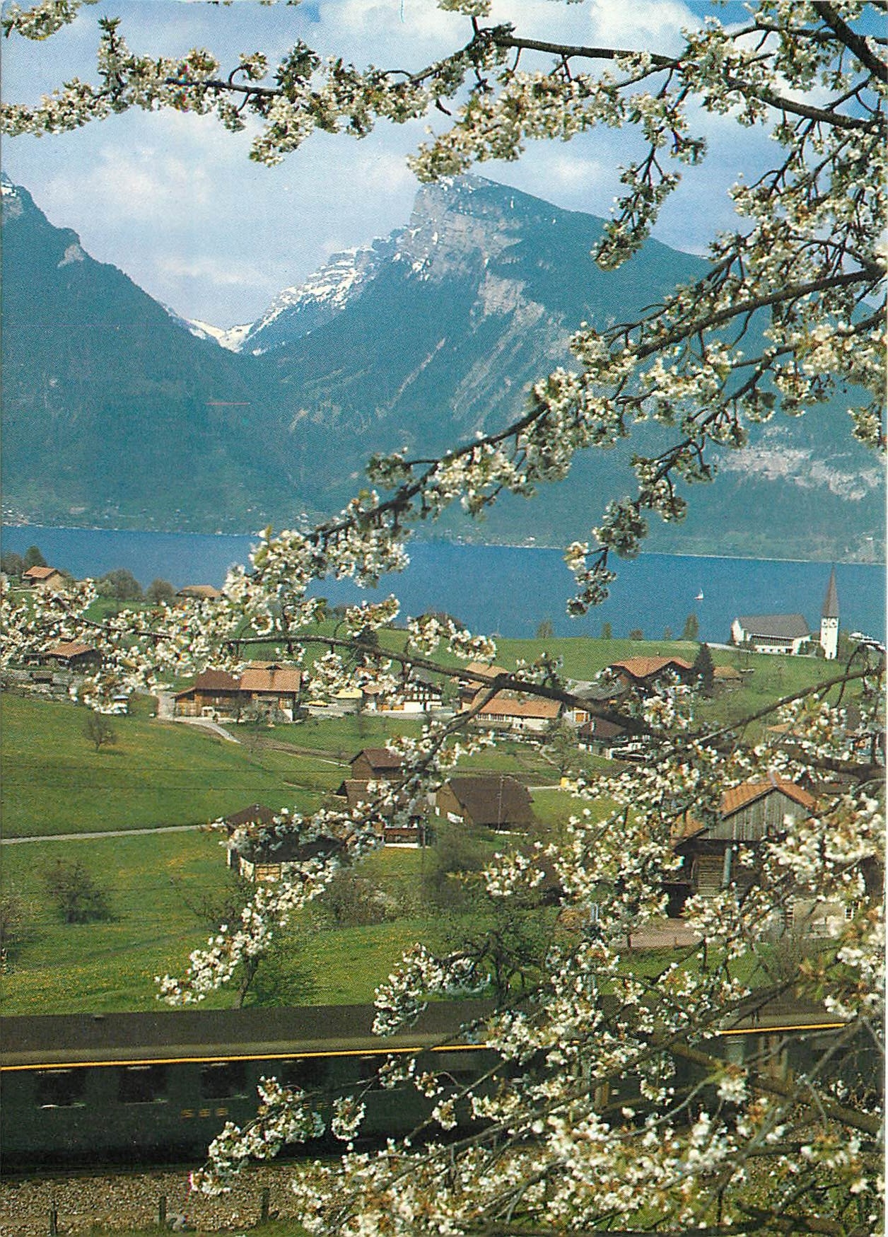 CPM Spiez am Thunersee Zum gunstigen Tageskartenpreis eine eindruckliche Rundfahrt Bern Lotschberg B