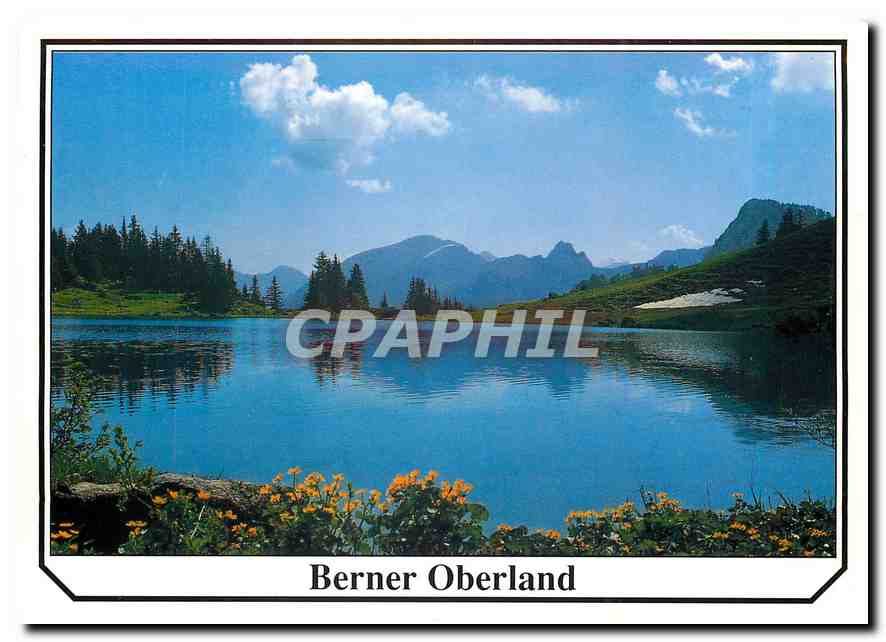 CPM Berner Oberland 