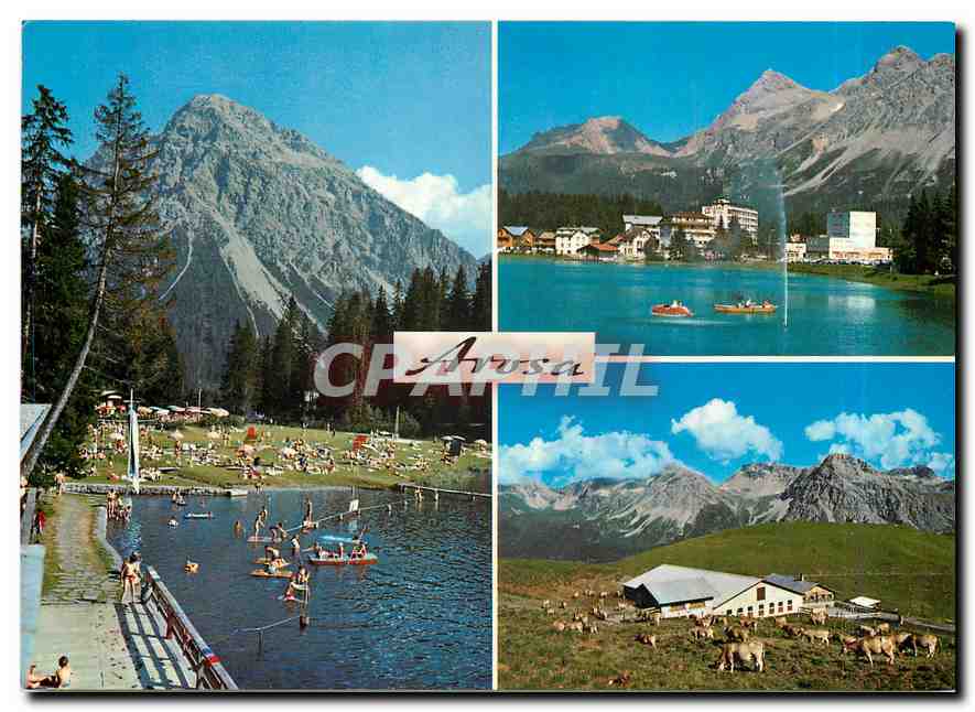 CPM Arosa Profit im Sommer mit Schwimmen Wandern Rudern 
