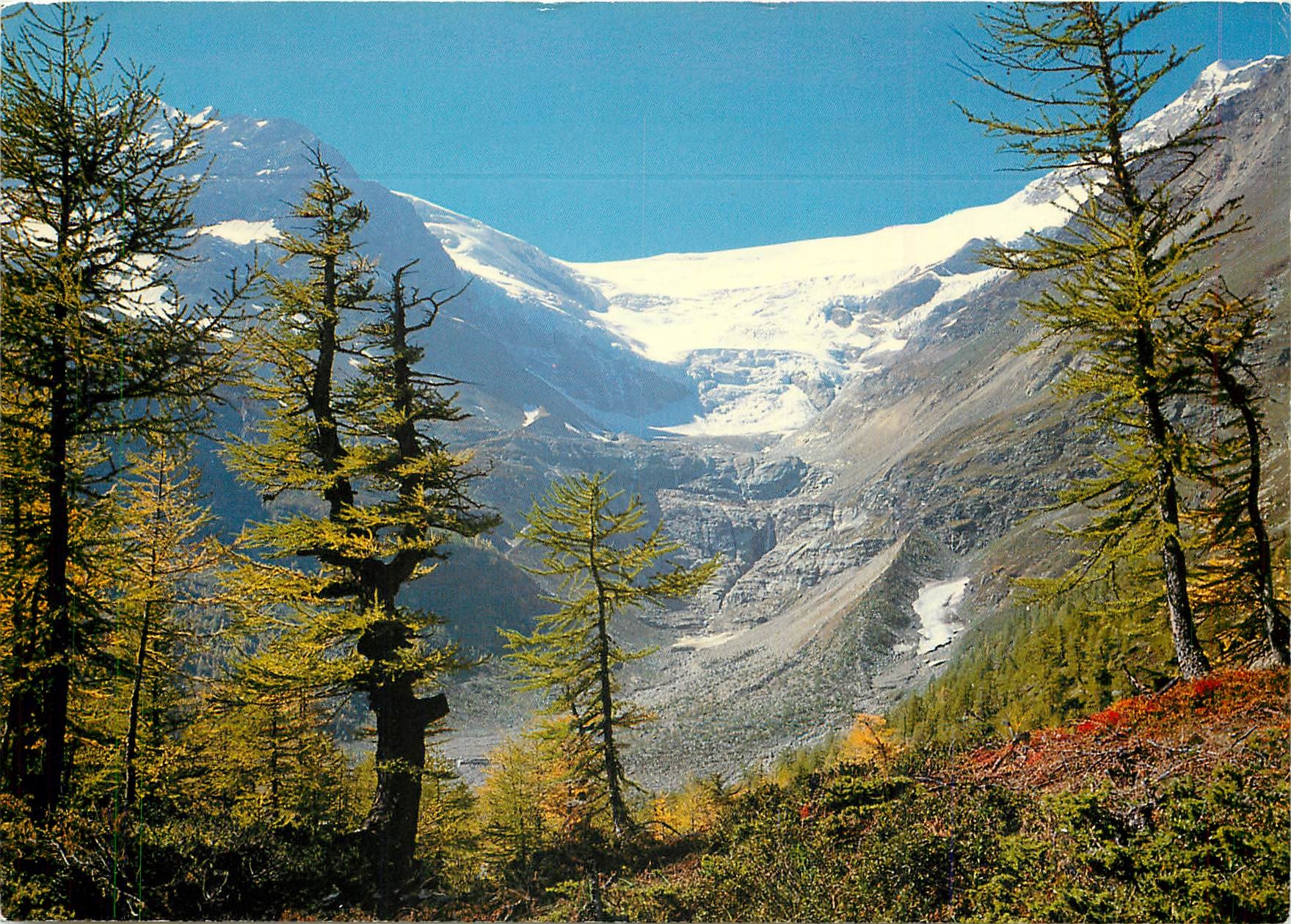 CPM Alp Grum Blick gegen Piz Varuna Palugletscher Piz Palu 