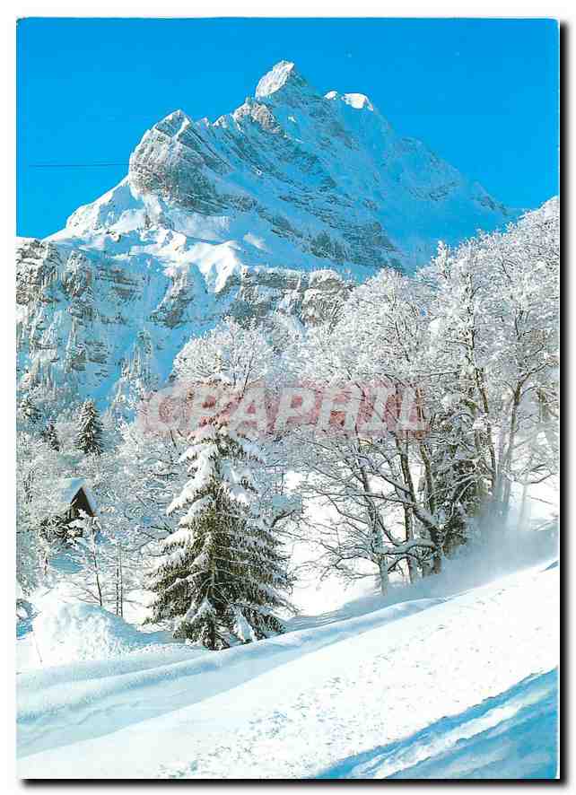 CPM Braunwald Ortstock 