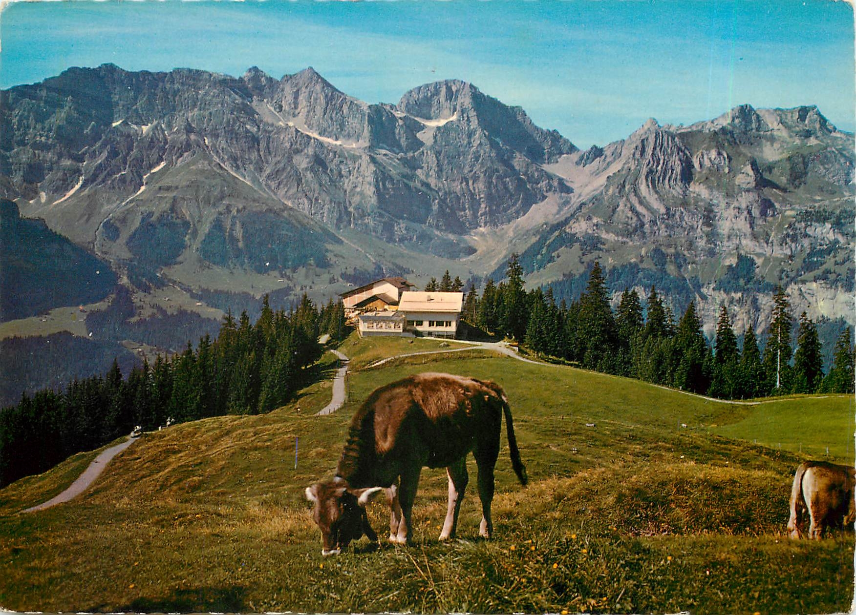 CPM Engelberg Sonnenterrasse Bergrestaurant Ristis Brunni 