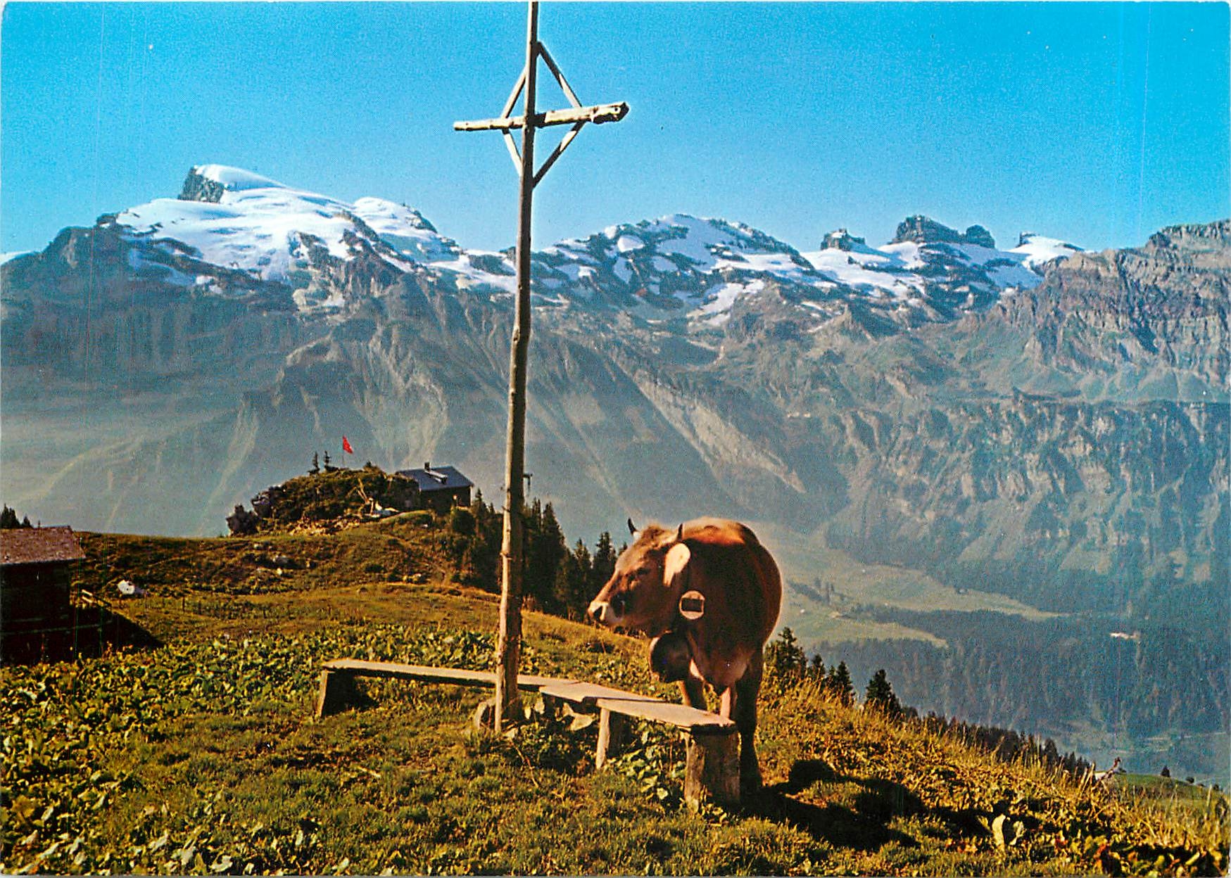 CPM Engelberg Zentralschweiz Motiv mit Brunnihutte 