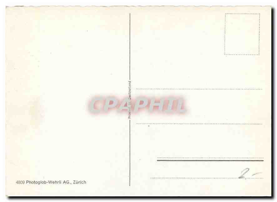 CPM Maderanerthal  — Back