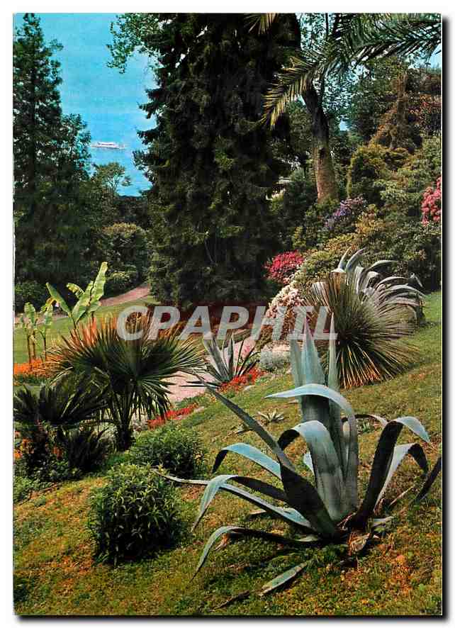 CPM Jardins du Sud 