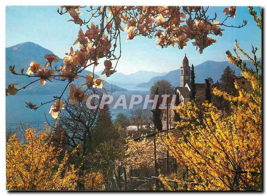 CPM Ronco Der Sonne nach ins Tessinl Zum gunstigen 