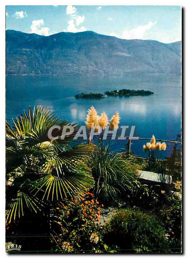 CPM Ronco S Ascona Lago Maggiore Vista sulle Isole di Brissago 