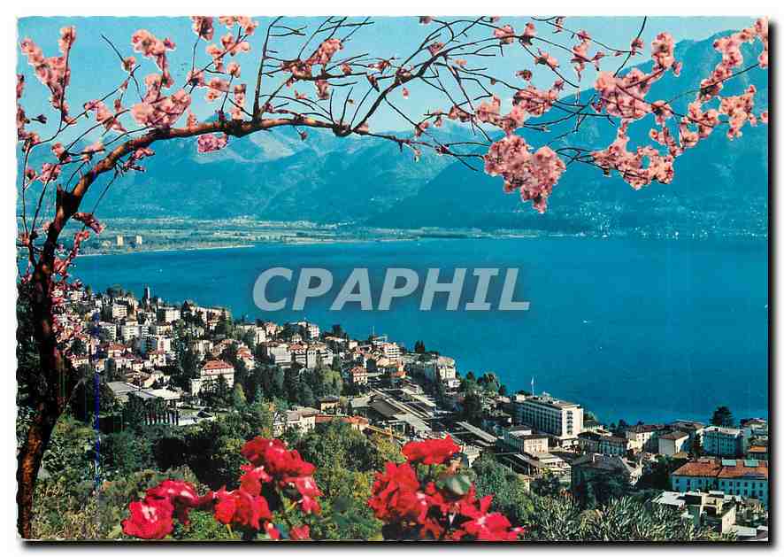 CPM Lac majeur Locarno Vue generale 