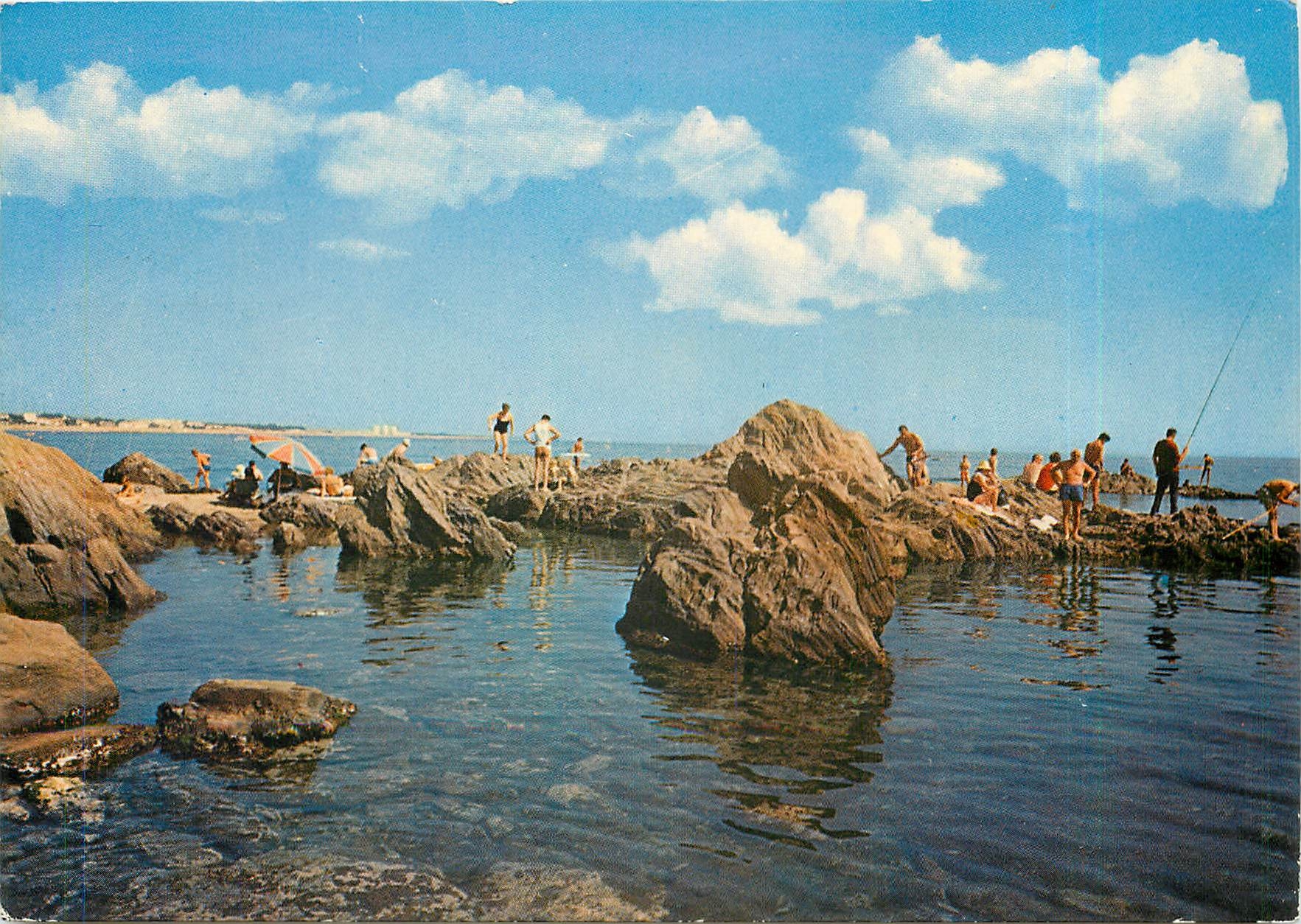 CPM Argeles sur Mer Le Racour Les rochers Au fond les tours d'Argeles 
