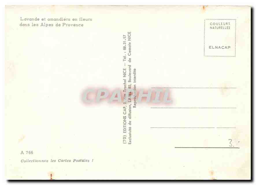Lavande et amandiers en fleurs — dans les Alpes de Provence — Éditions CAP, NICE — Verso