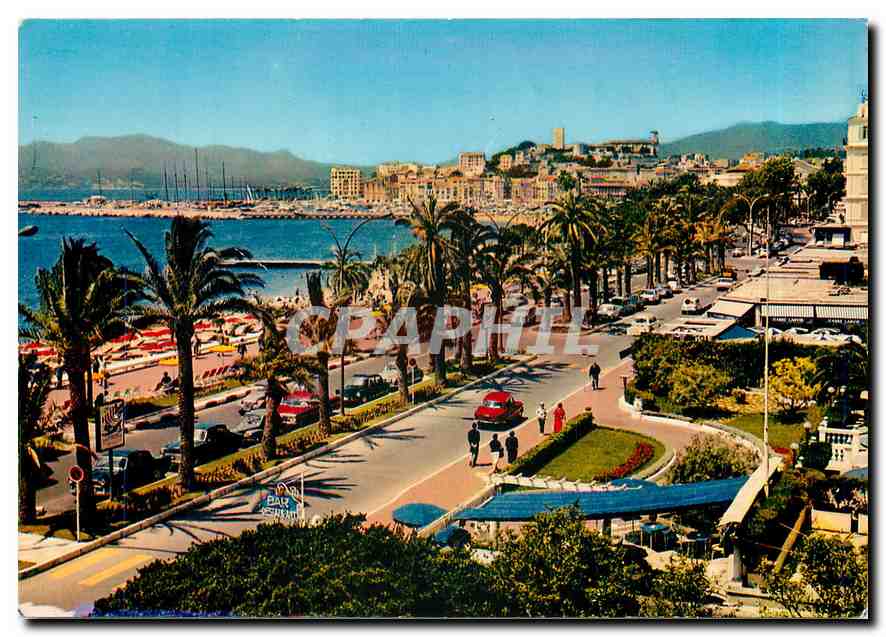 CPM Cannes Alpes Maritimes La Croisette et le Suquet 