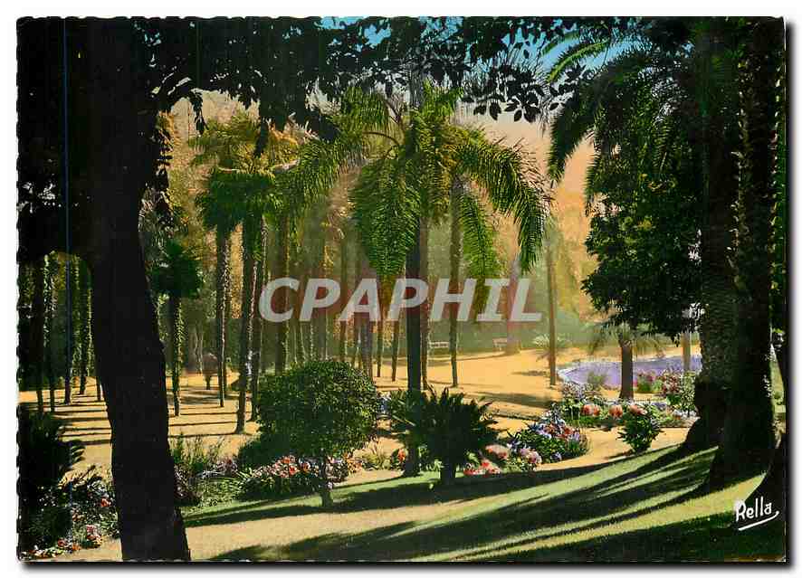 CPM La Cote d'Azur Monte Carlo Contre jour sur les jardins 