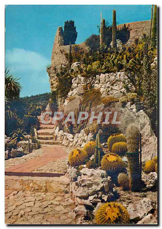 CPM La Cote d'Azur et ses jardins exotiques Eze Village 