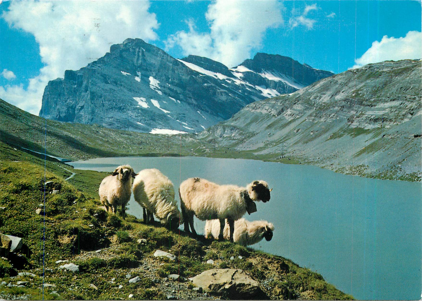 CPM Daubensee am Gemmipass Leukerbad Kandersteg Daubenhorn 