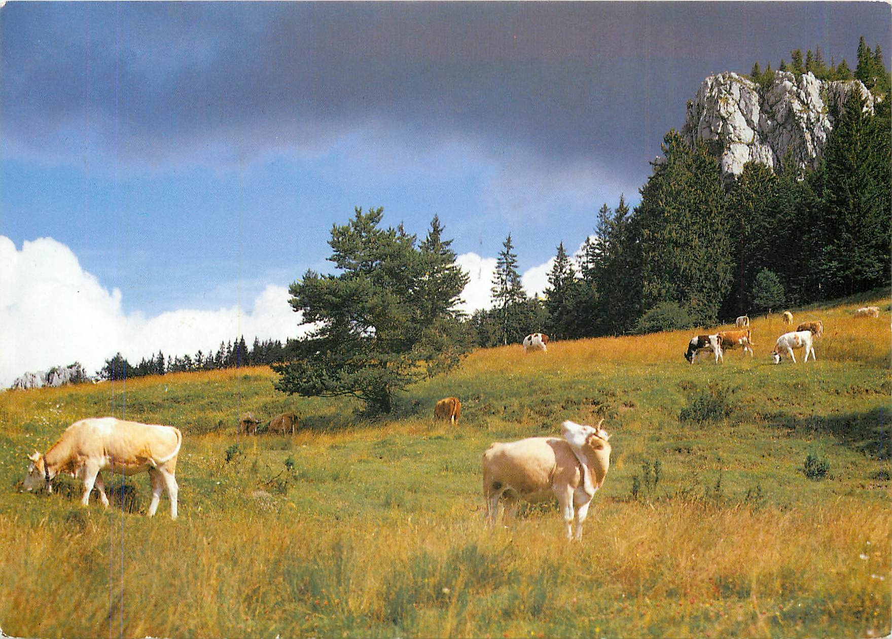 CPM Paysage idyllique du Jura 