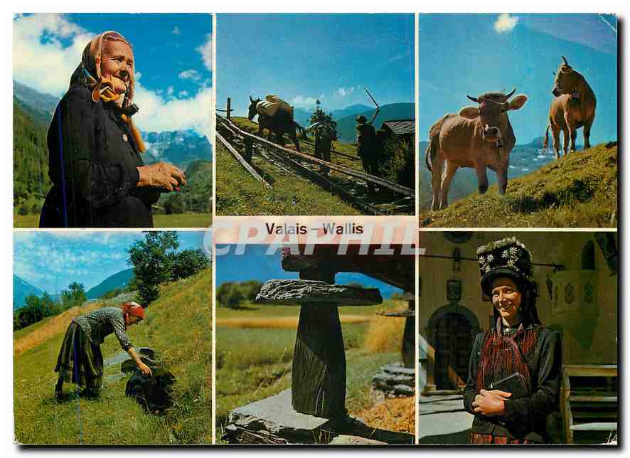CPM Valais Wallis 