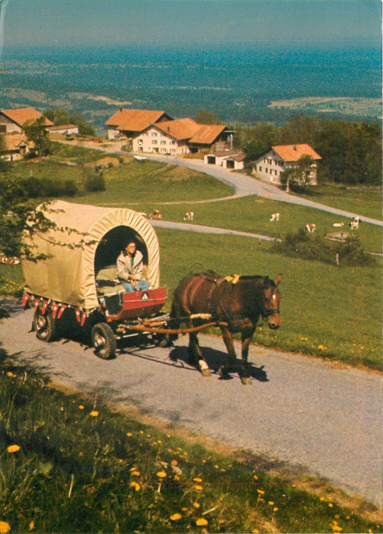 CPM En roulotte tzigane a travers le Jura Suisse Lucelle Schweiz 
