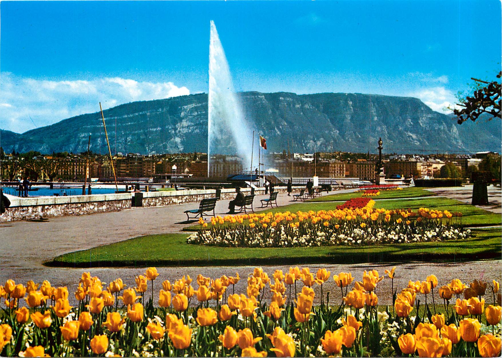 CPM Geneve Quai Wilson et le Jet d'eau 